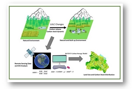 Modeling regional aboveground carbon stock dynamics affected by land use and land cover changes 