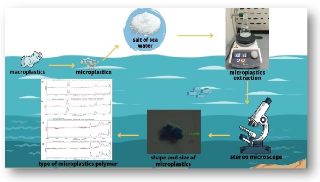 Presence of microplastics contamination in table salt and estimated exposure in humans 