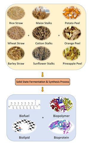 Agricultural waste management generated by agro-based industries using biotechnology tools 