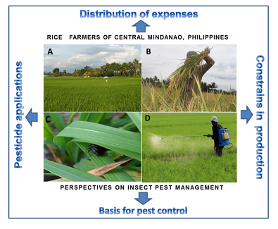 Economic and ecological perspectives of farmers on rice insect pest management 