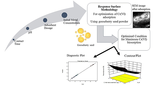 Optimization of chromium(VI) biosorption using gooseberry seeds by response surface methodology 