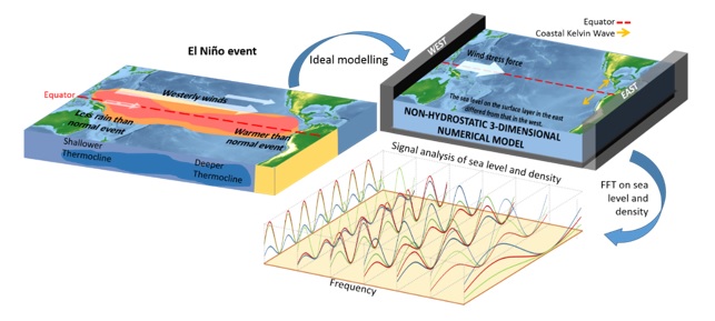 Simulation and analysis of marine hydrodynamics based on the El Niño scenario 